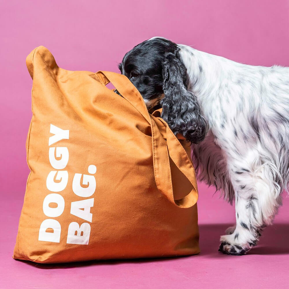 Heyday - Doggy Bag Ginger