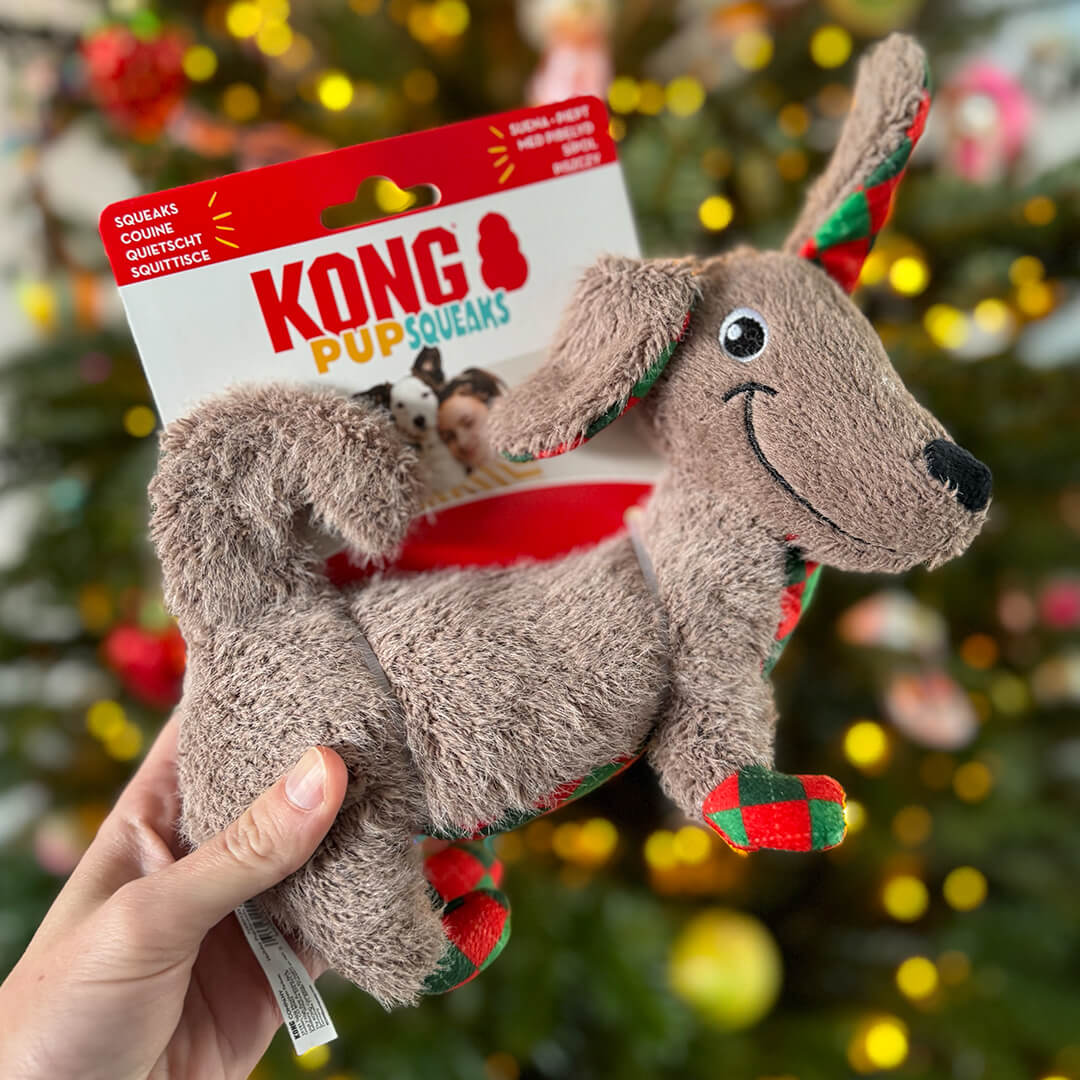 KONG - Holiday PupSqueaks Tucker (23 cm)