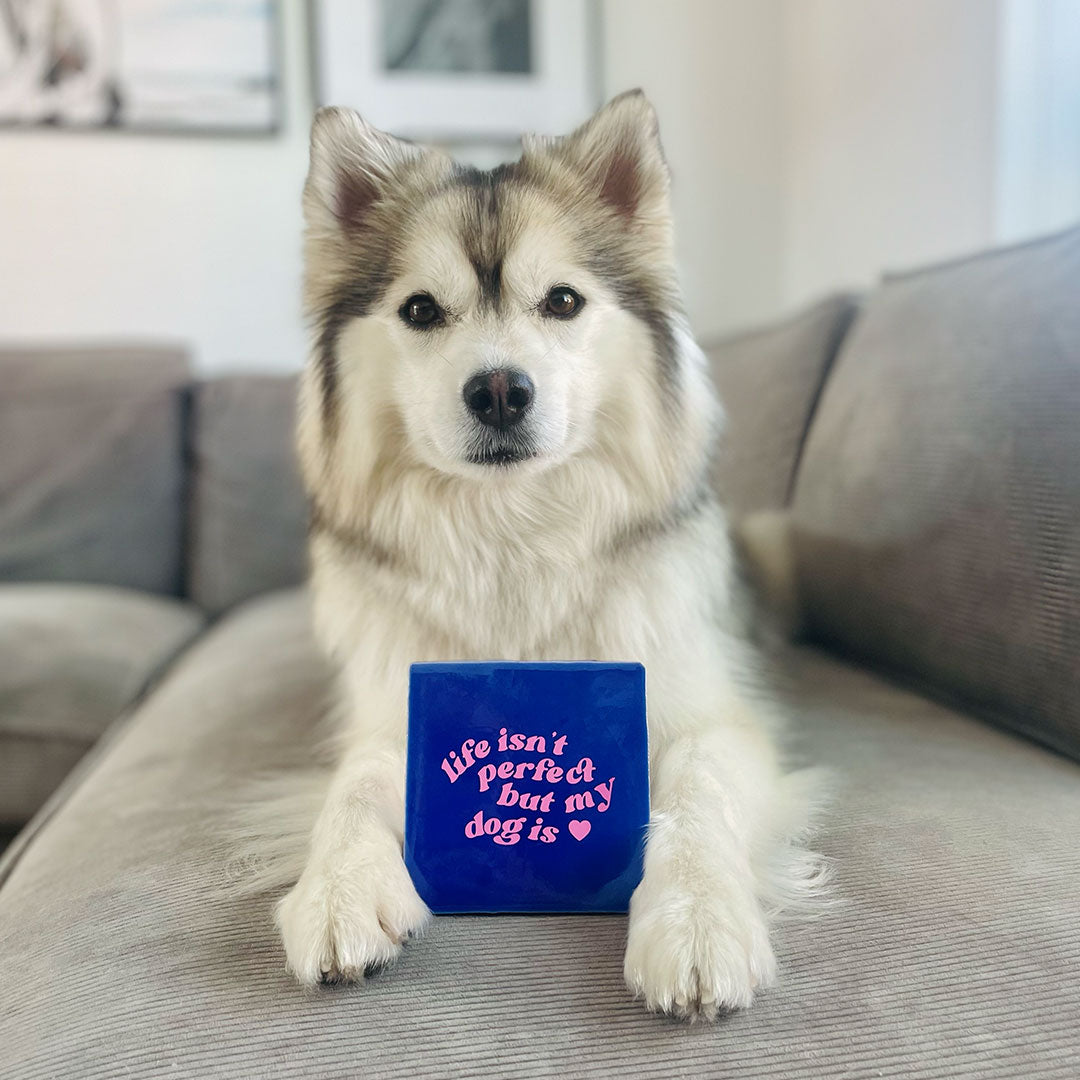 Quote Tegel - Life isn't perfect but my dog is - 10 x 10 cm