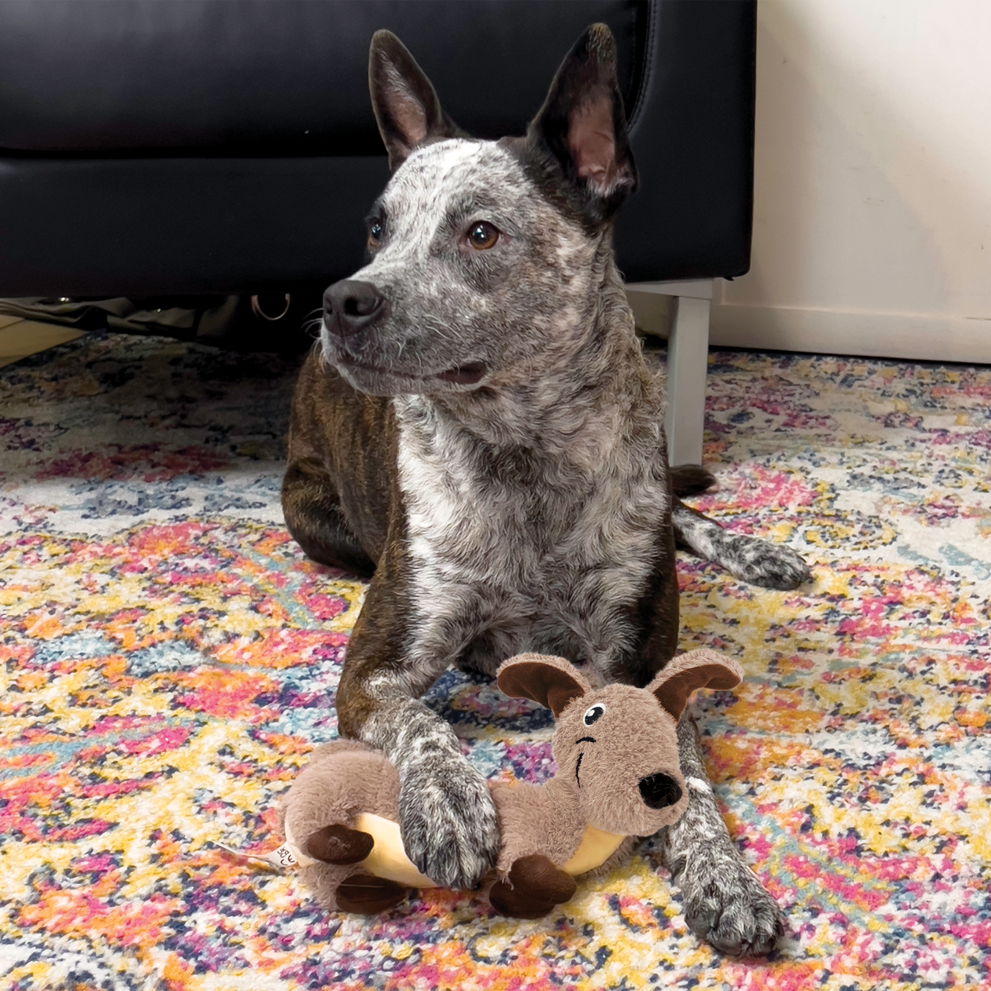 KONG - Holiday PupSqueaks Tucker (23 cm)