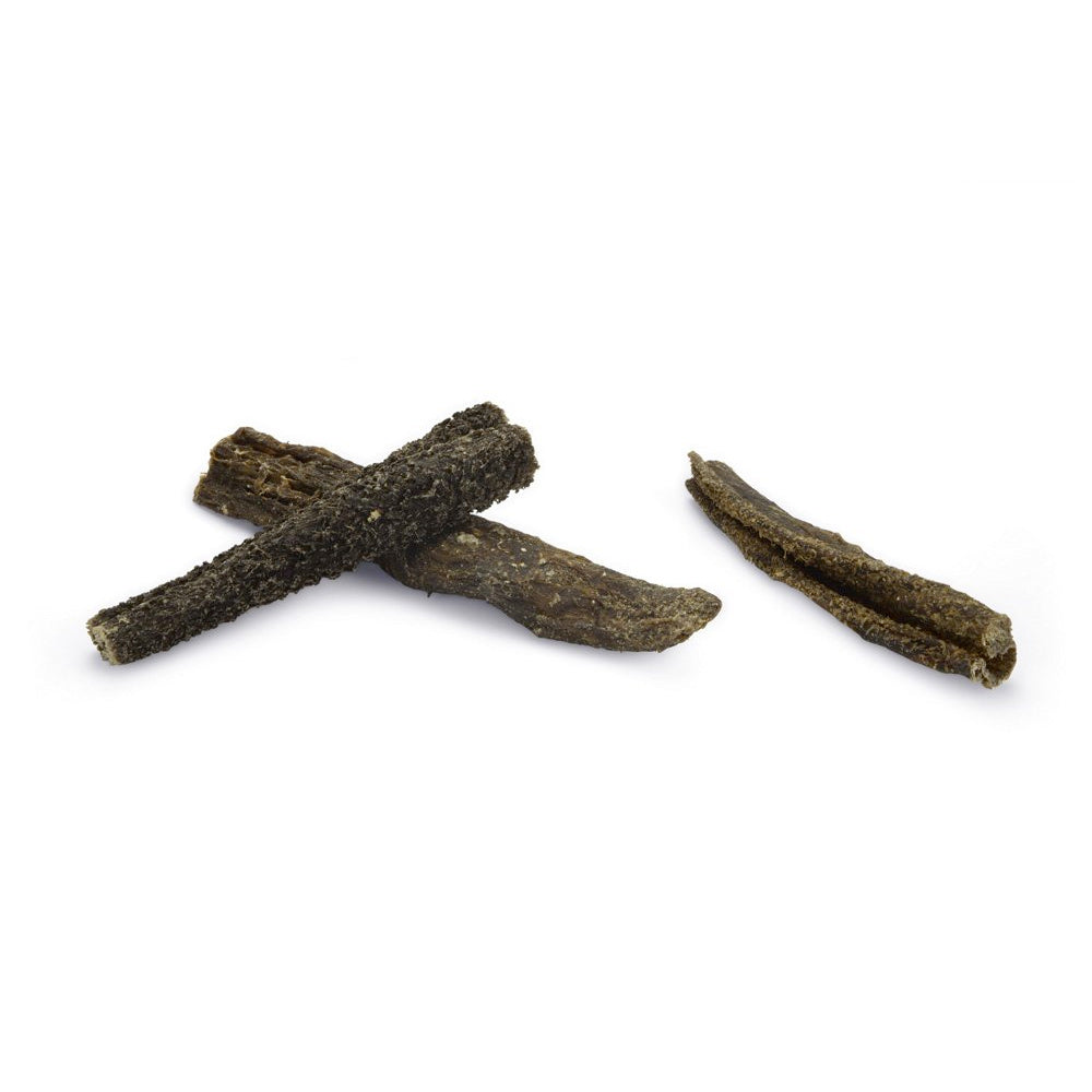 Beeztees - Pensstaafje - 500 gram