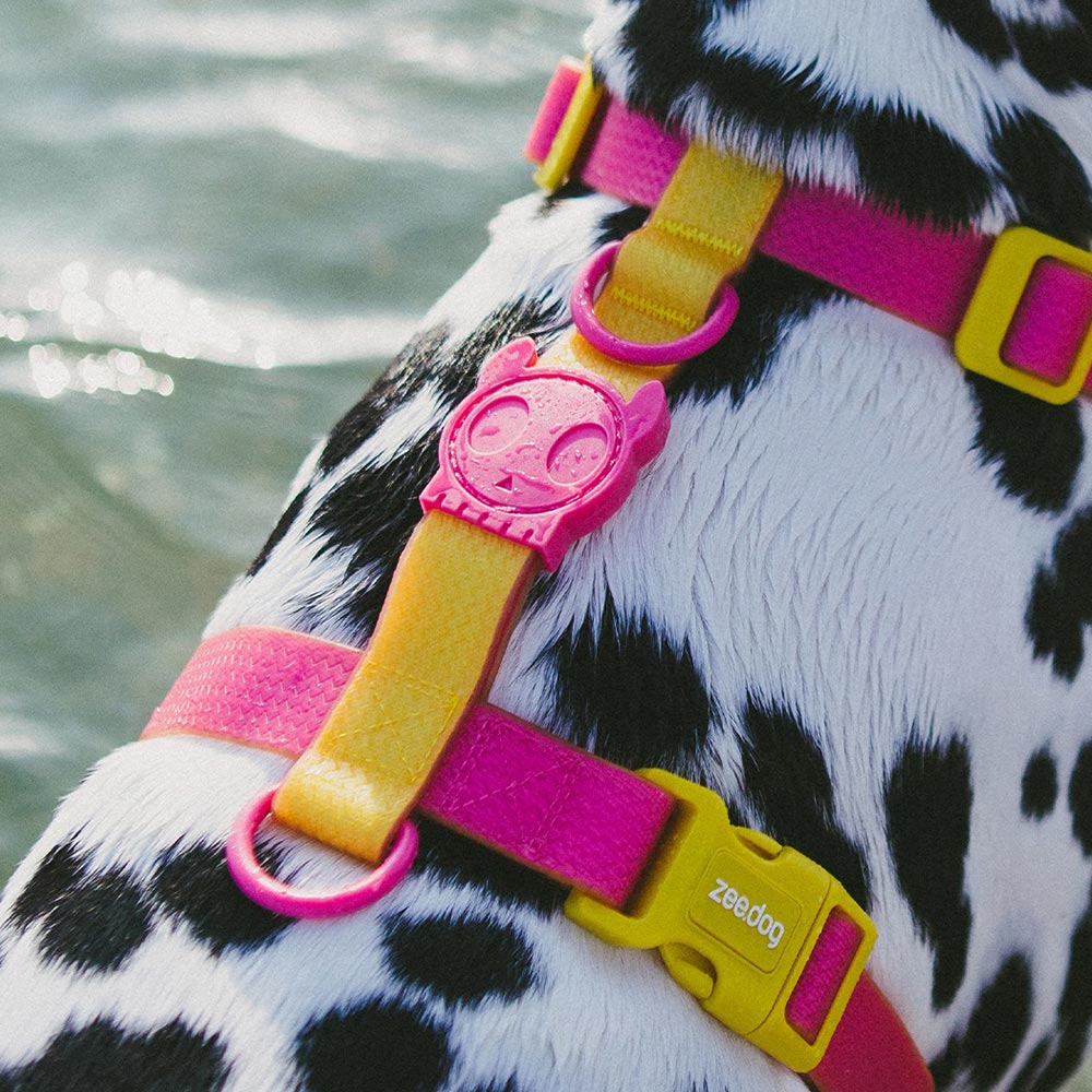 Zee.Dog - H-harnas NeoPro Lyra