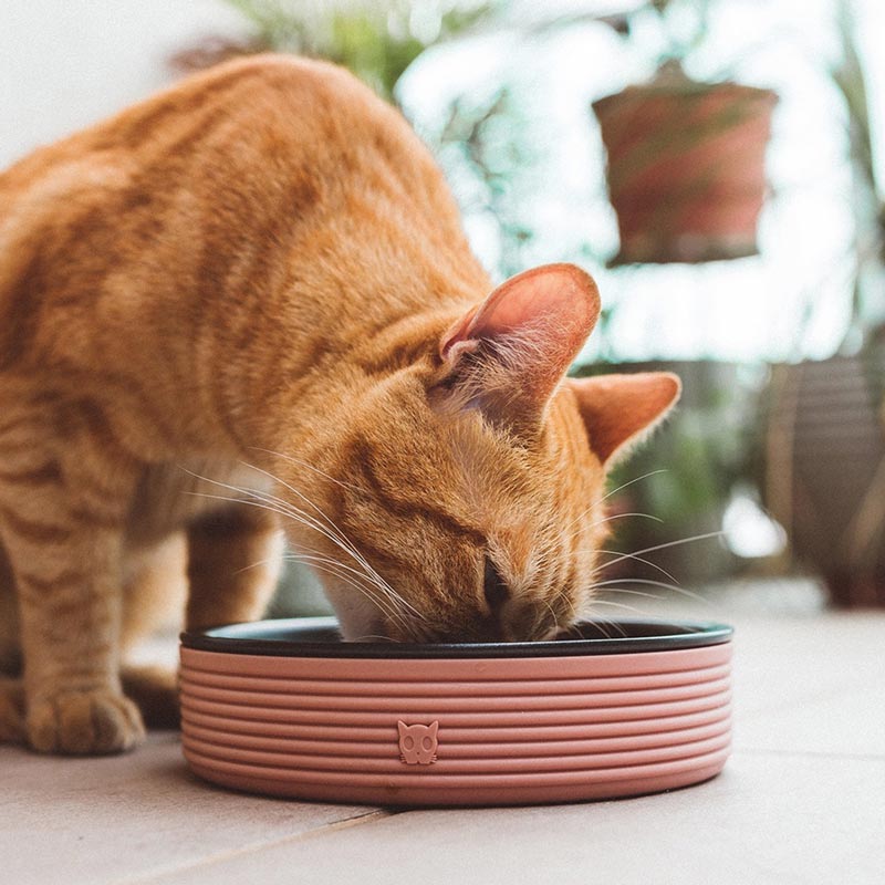 Zee.Cat - Katten voer- en drinkbakje Terracotta