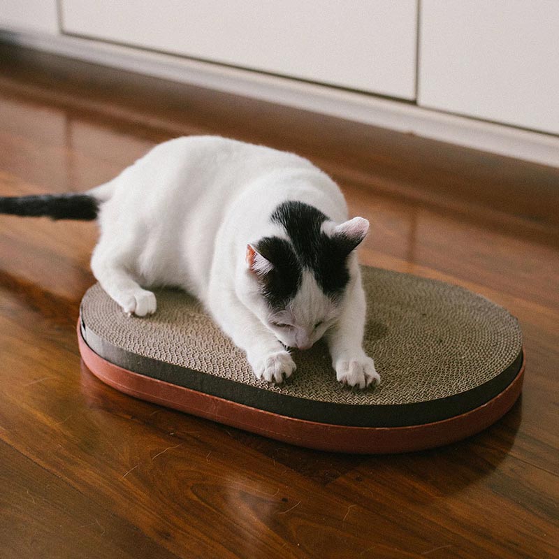 Zee.Cat - Katten Krabmat Citrus
