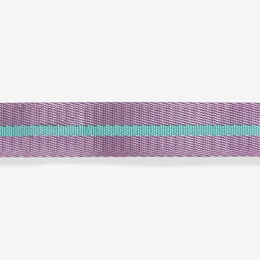 Zee.Dog - Halsband Aura