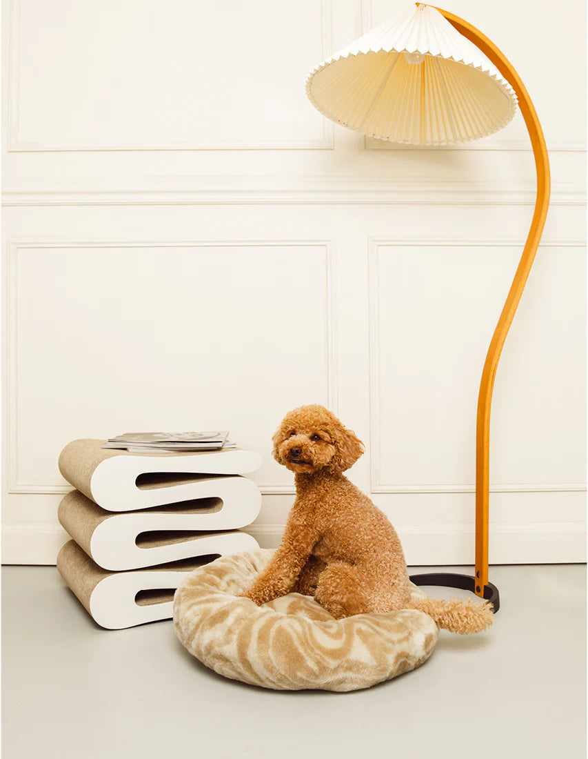 Inspiratie en honden trends