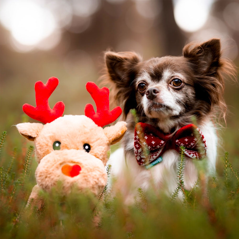 Beeztees - Kerststrik