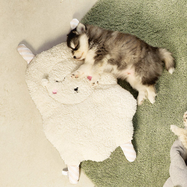 Puppy Geurlap Sjiepo (40 cm)
