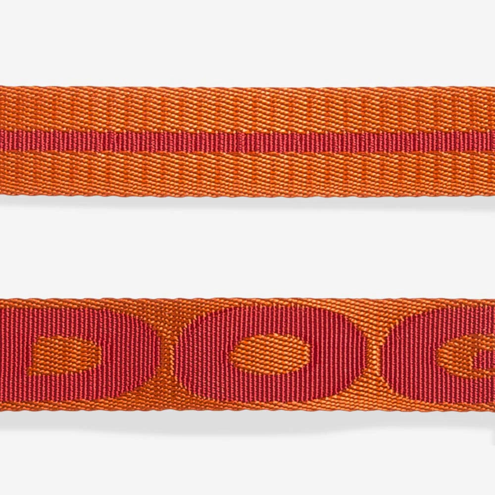 Zee.Dog - Riem Gibson
