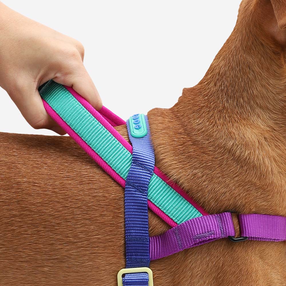 Zee.Dog - Shockwave Softer Walk harnas