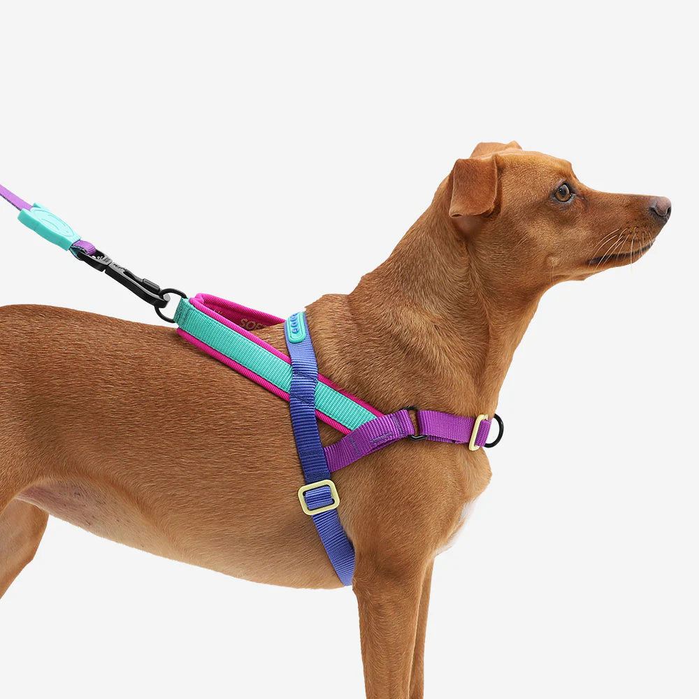 Zee.Dog - Shockwave Softer Walk harnas