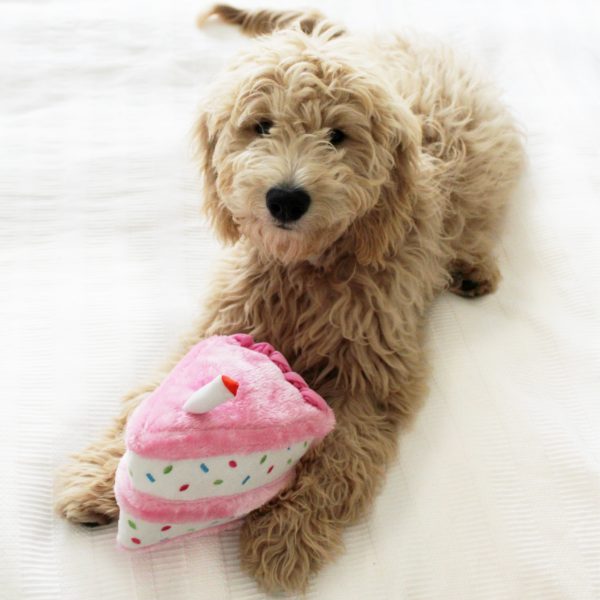 ZippyPaws Birthday Cake - Pink (17 cm)