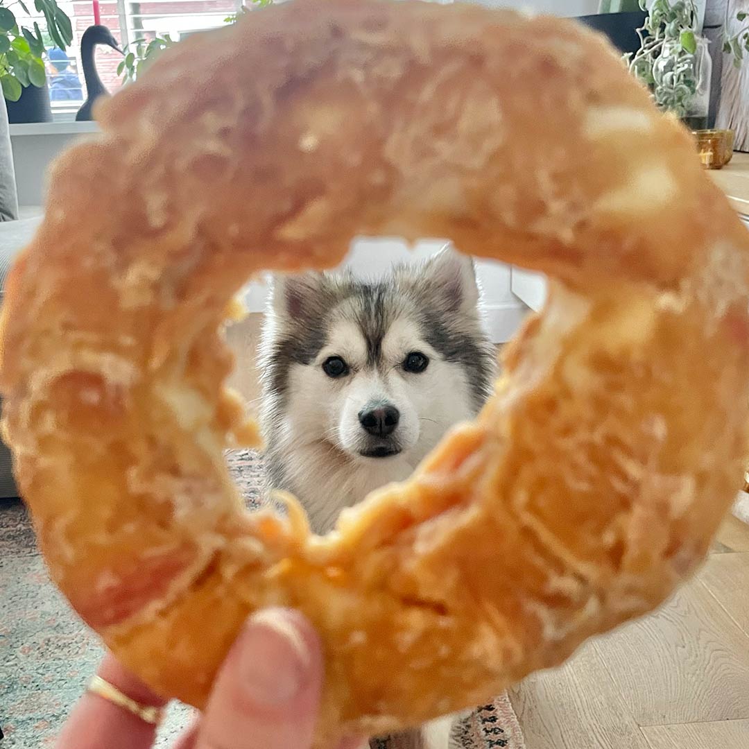 Kip Donut - 1 stuk