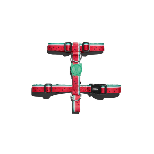 Zee.Dog H-harnas Lola