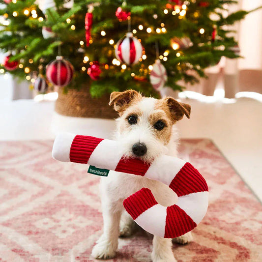 Kerstspeelgoed voor jouw hond