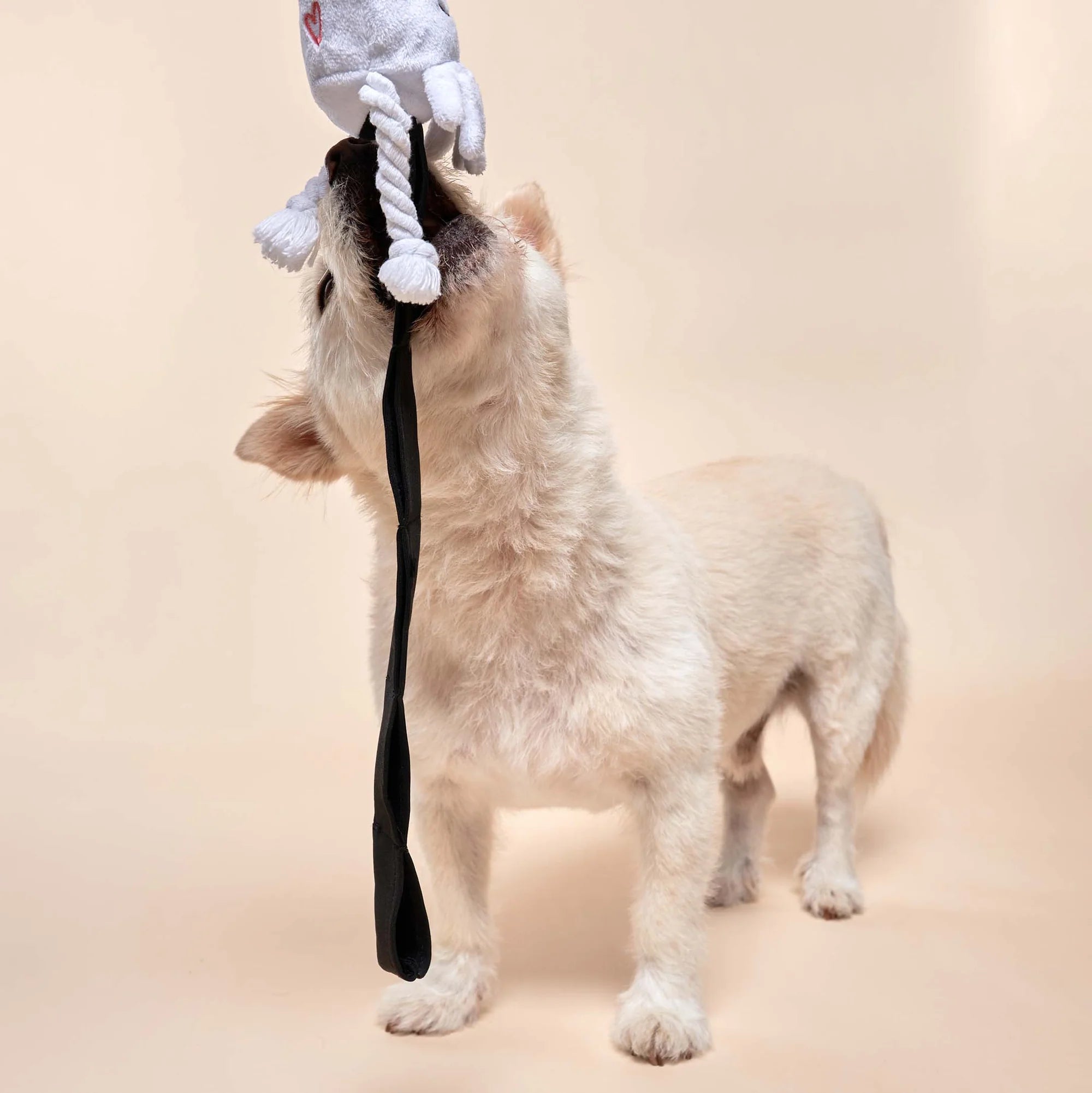 The Furryfolks - Calamari (20 cm)