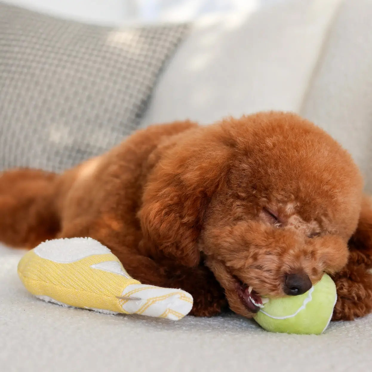 Lambwolf Collective - TENNIS POP