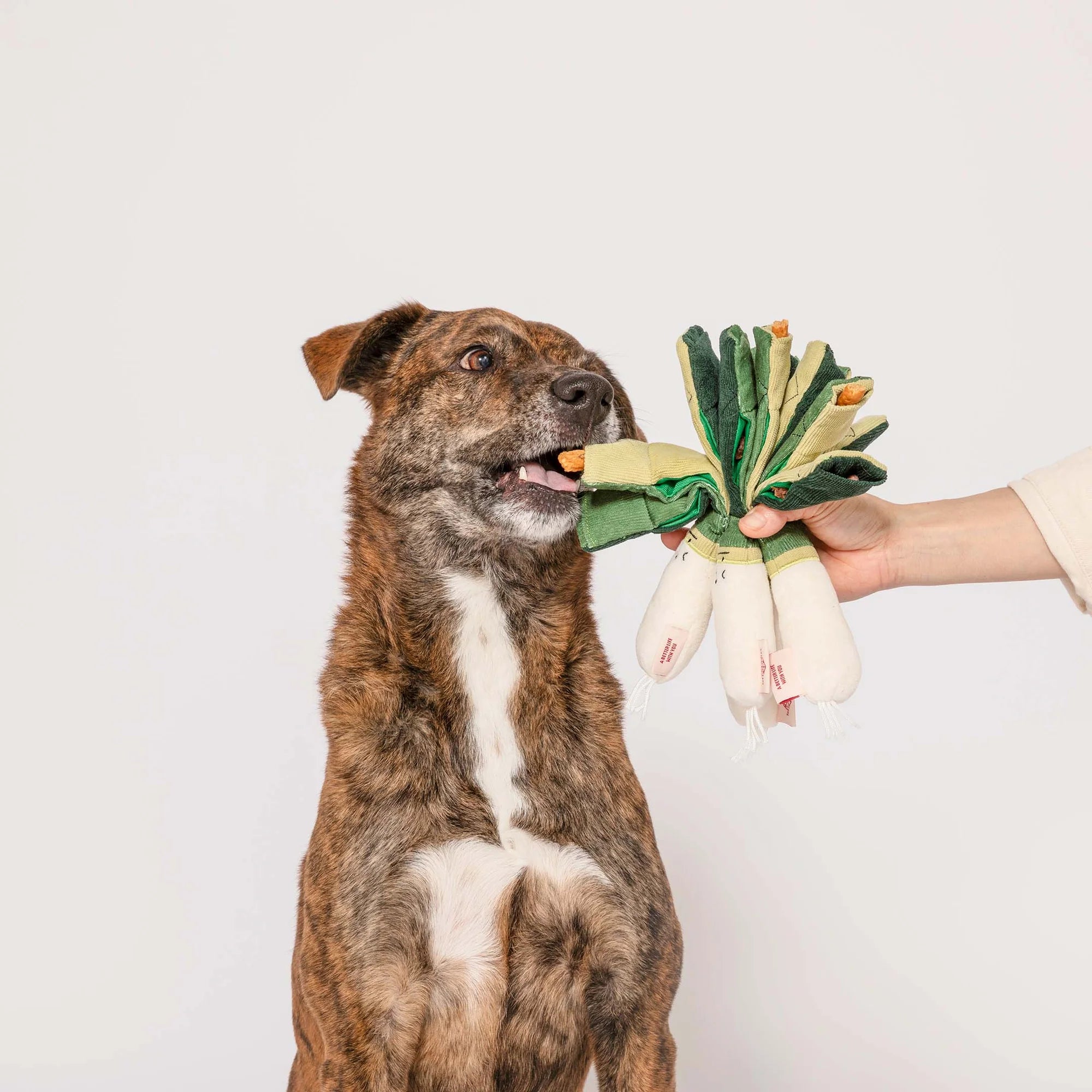 The Furryfolks - Green Onion (23 cm)