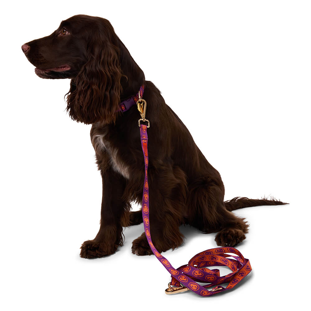 Furmey - Handsfree leash Orange