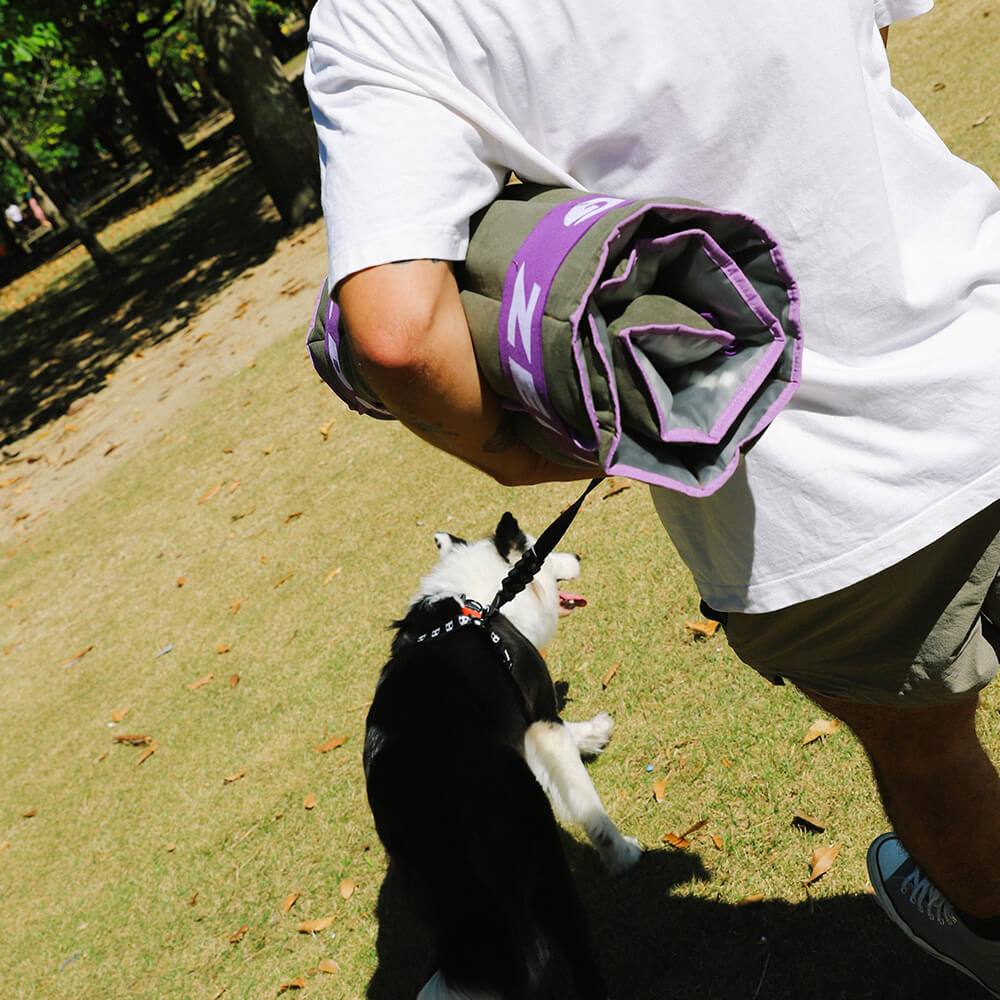 Zee.Dog - Air.Mat