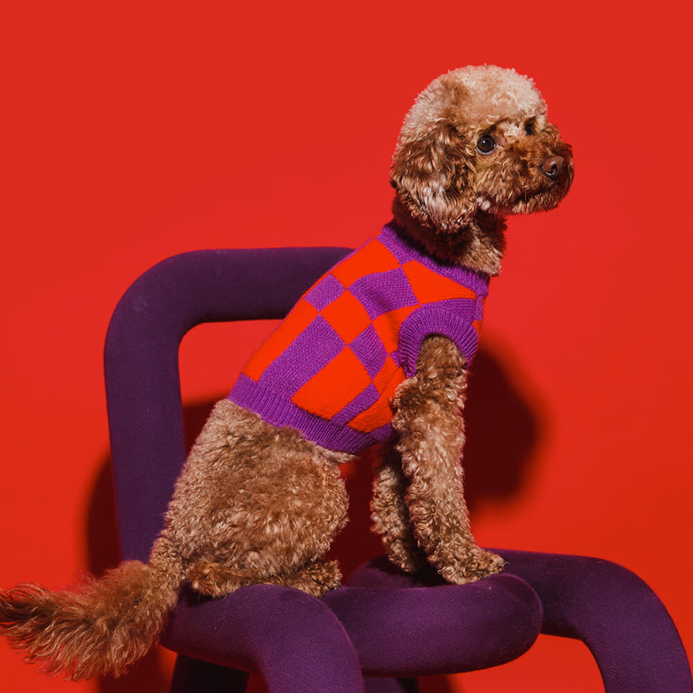 Block Dog Sweater - Purple / Red