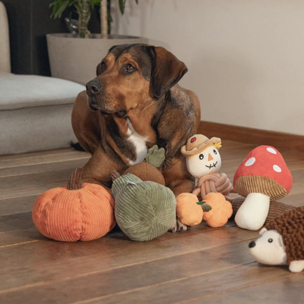 Beeztees - Vogelverschikker Spud (32 cm)