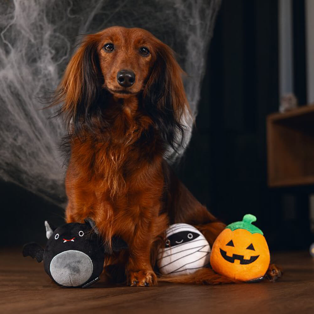 Beeztees - Halloween Trick or Treat - Mummie (10 cm)