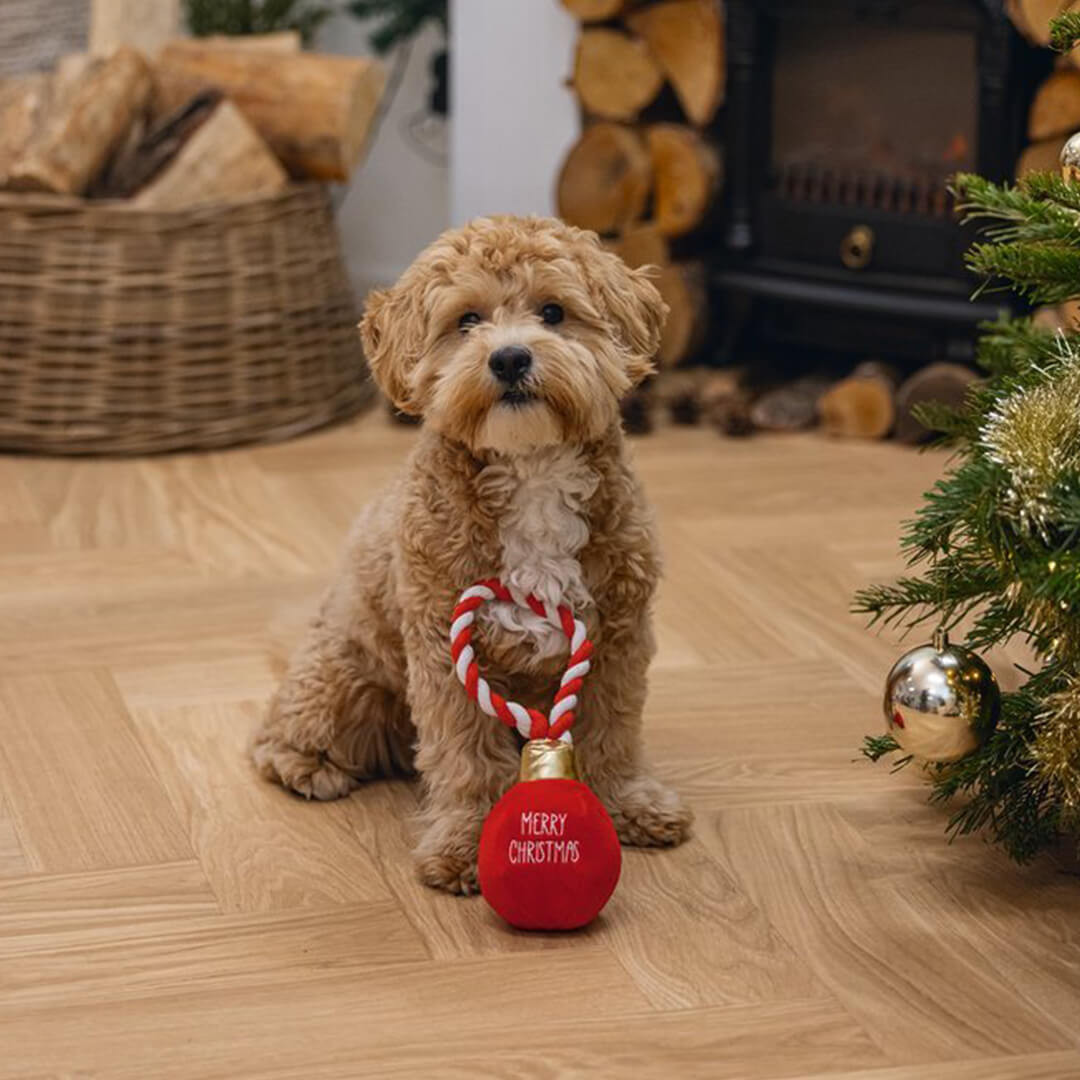 Beeztees - Kerstbal Jingle (25 cm)