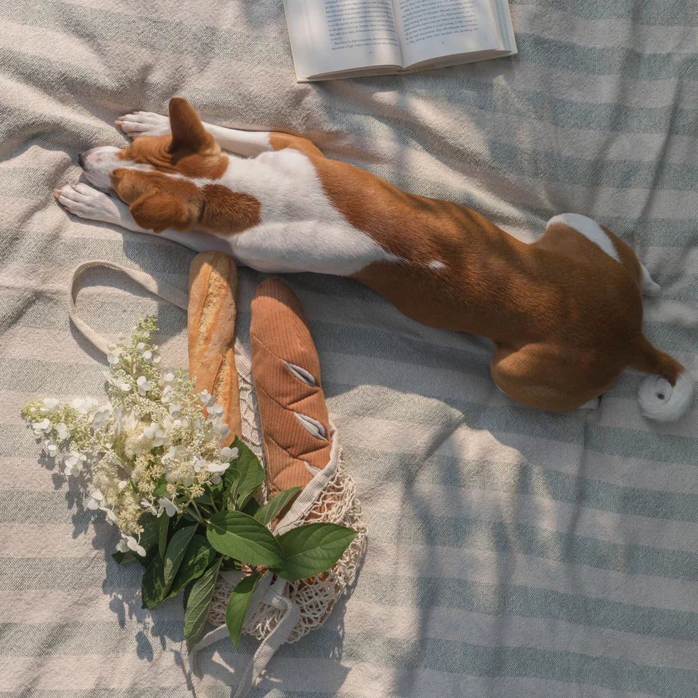 Baguette (45 cm)