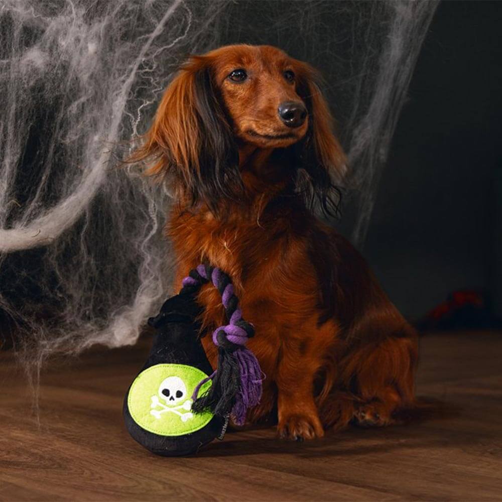 Beeztees - Halloween Vergif (29 cm)