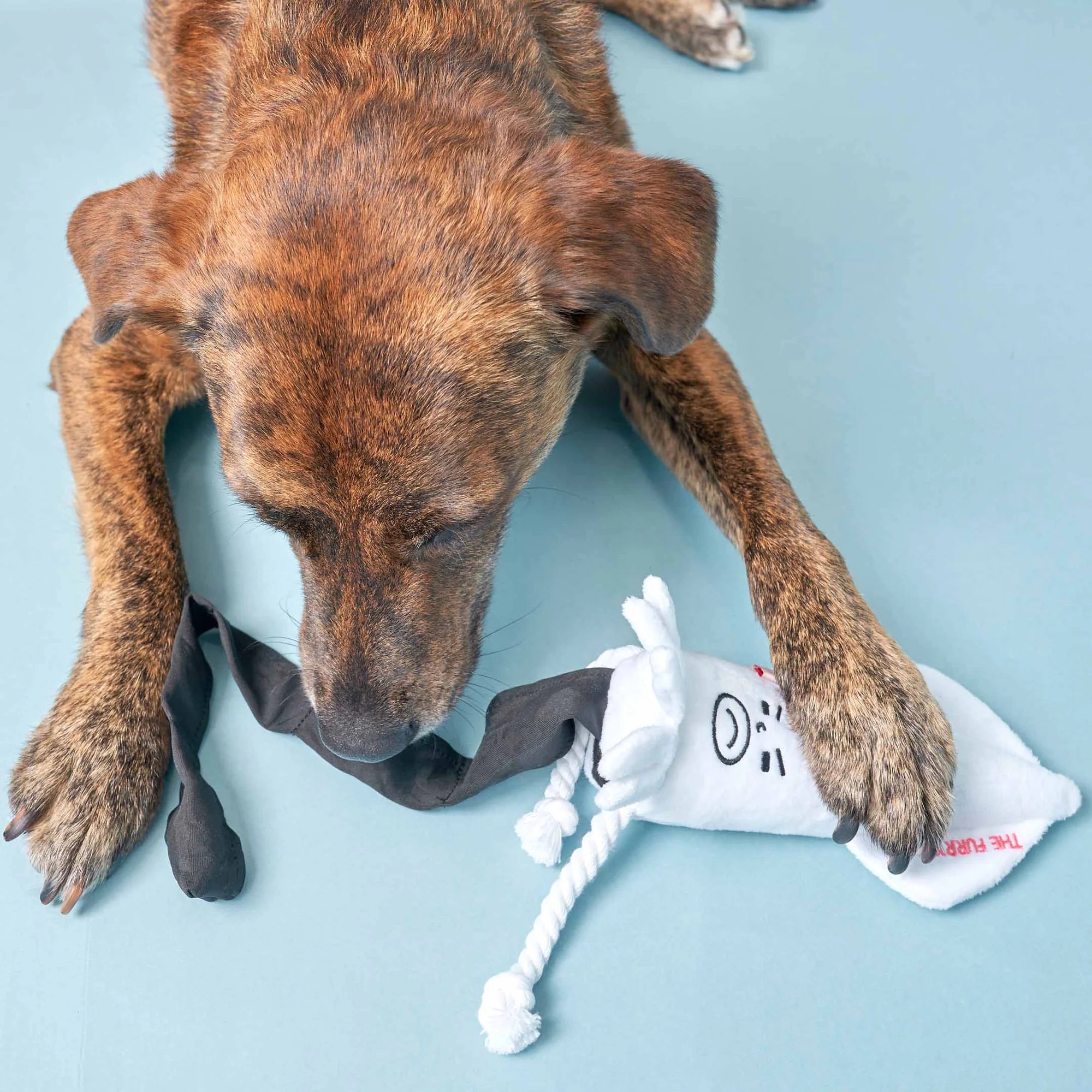 The Furryfolks - Calamari (20 cm)