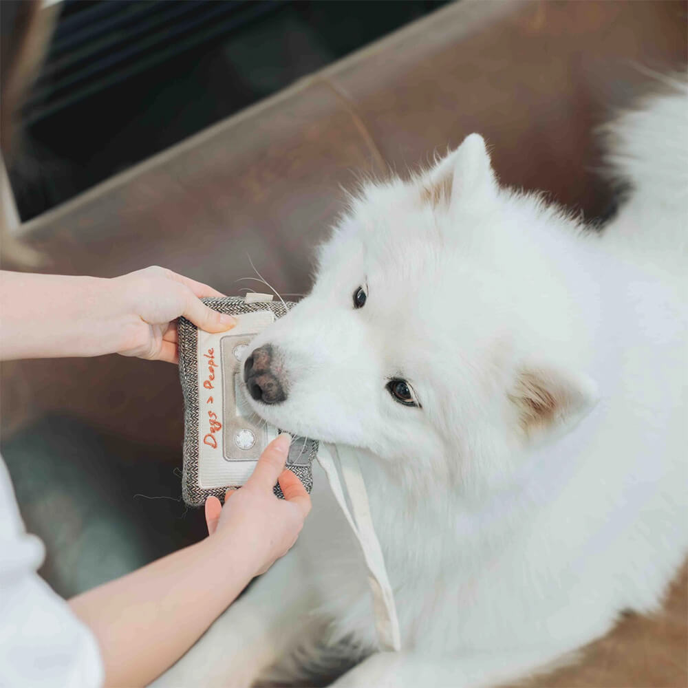 Lambwolf Collective - CASSETTE (15 cm)