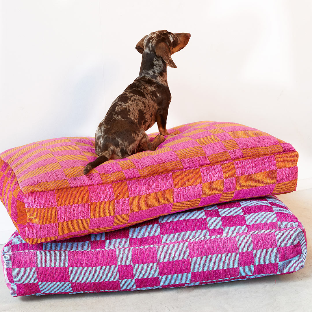 DOGGUO - Block dog bed - blue / raspberry