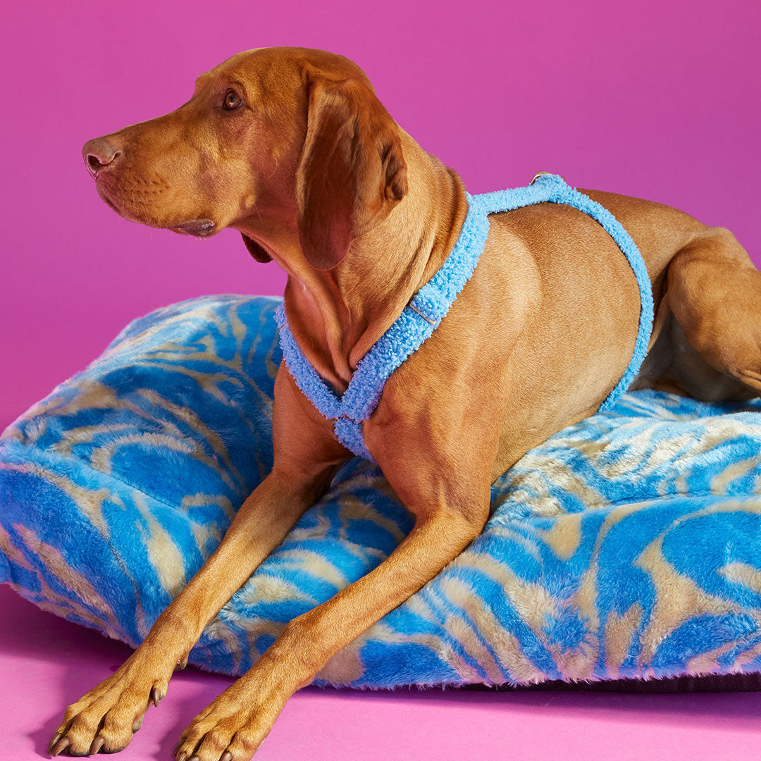 DOGGUO - Swirl dog bed - blue / beige