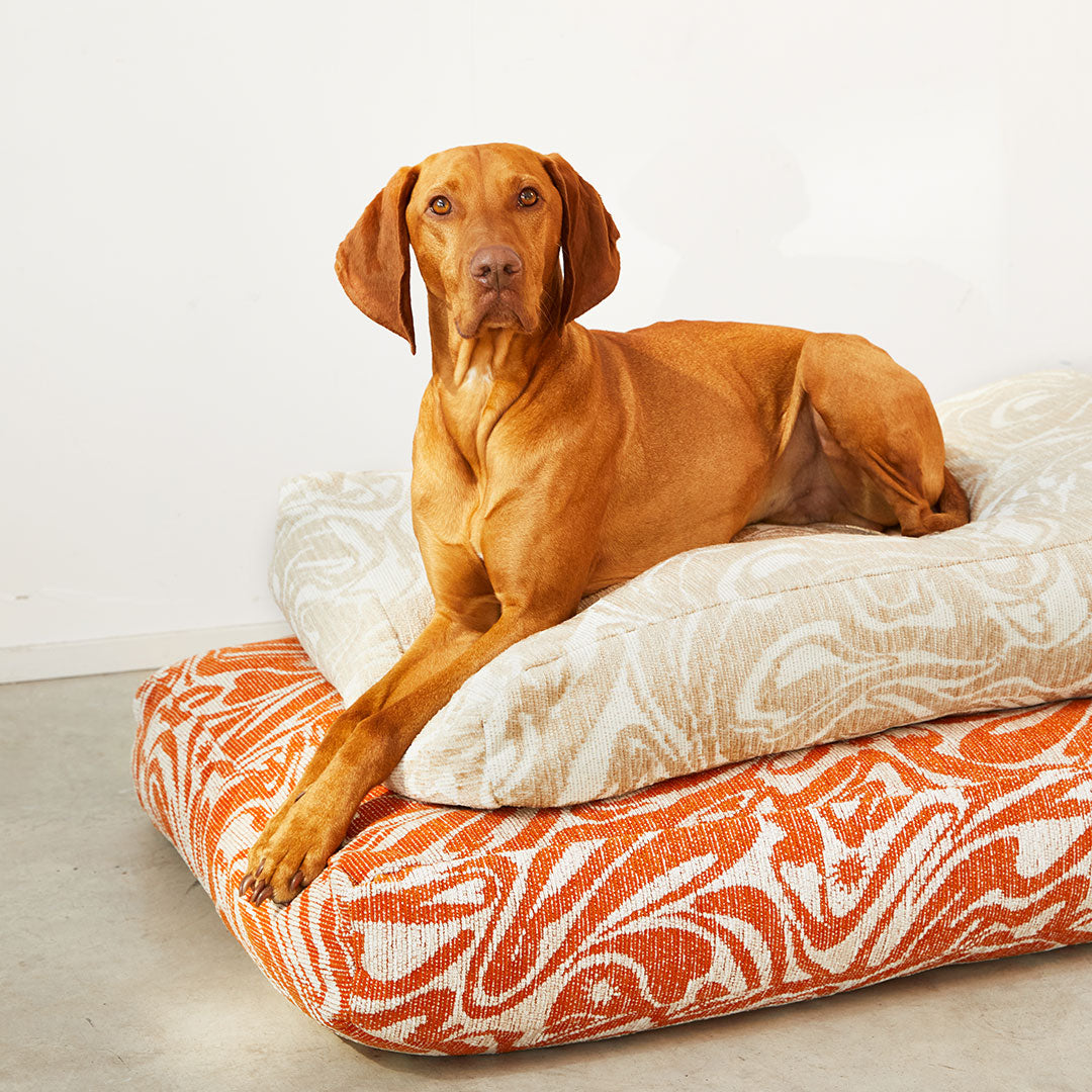 DOGGUO - Swirl dog bed - beige