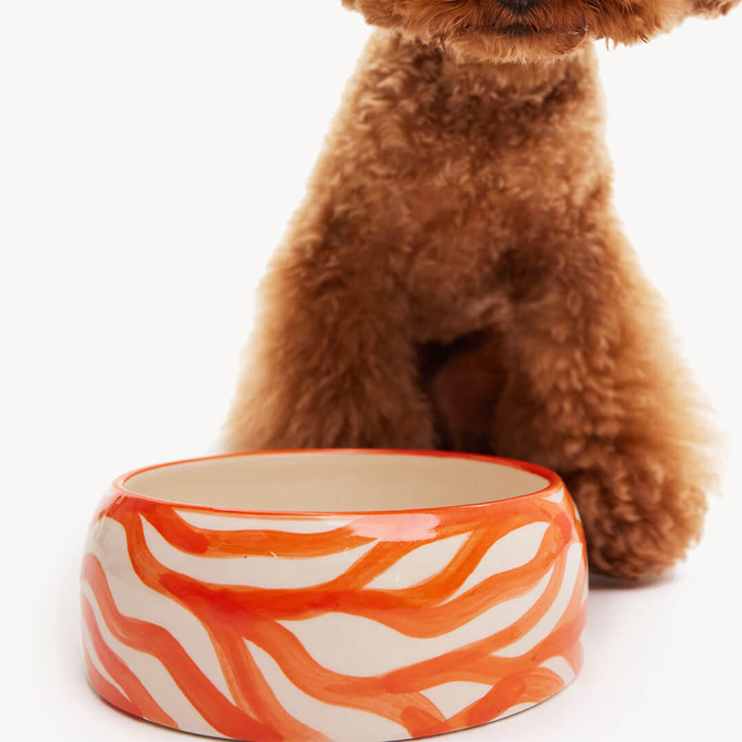 DOGGUO - Zebra Dogbowl - Orange / Sand