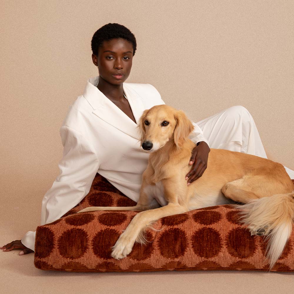 DOGGUO - Dot Dog Bed - Mocha/Brown