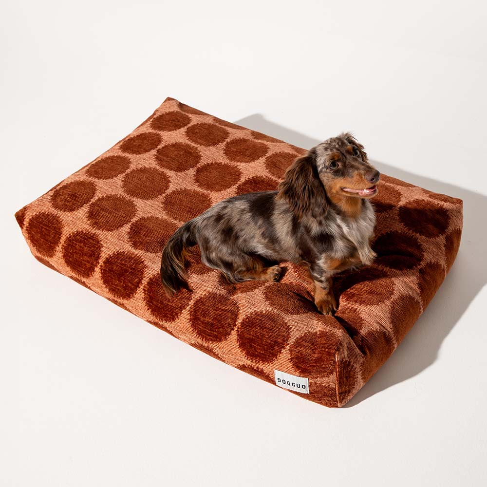 DOGGUO - Dot Dog Bed - Mocha/Brown