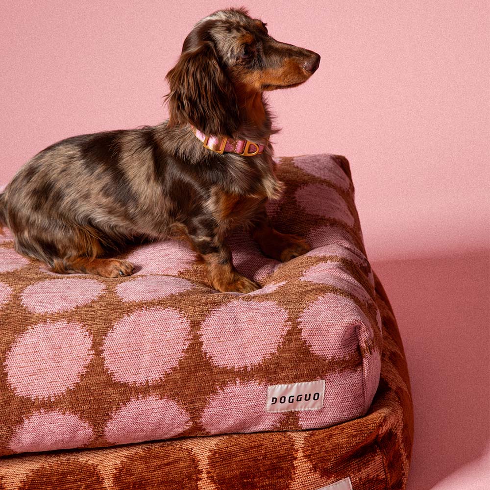 DOGGUO - Dot Dog Bed - Mocha/Brown