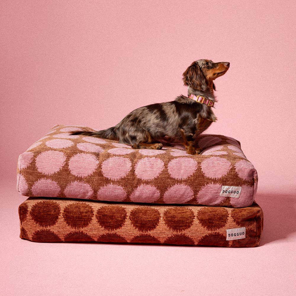 DOGGUO - Dot Dog Bed - Mocha/Brown