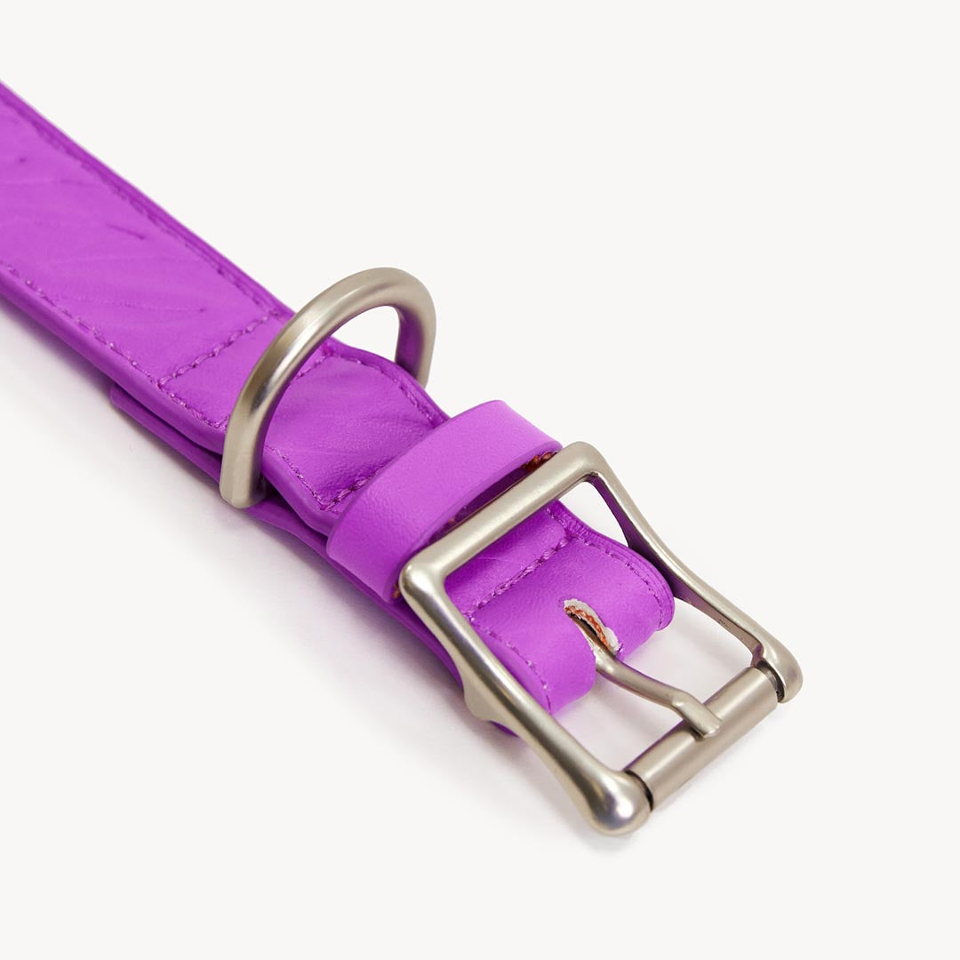 DOGGUO - Vegan Leather Collar - Zebra - Purple