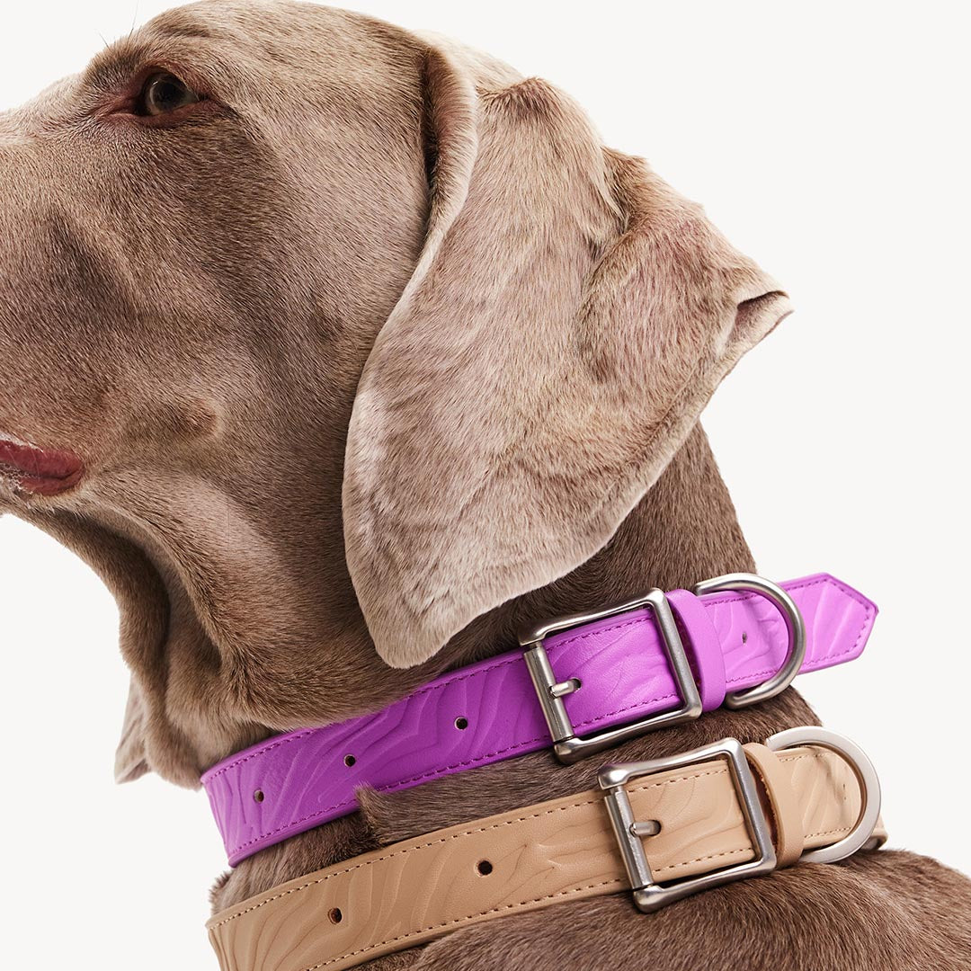 DOGGUO - Vegan Leather Collar - Zebra - Purple