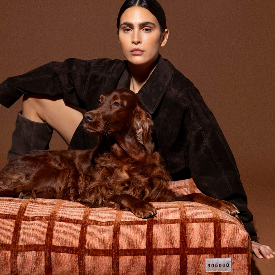 DOGGUO - Check hondenmand - Mokka/Bruin