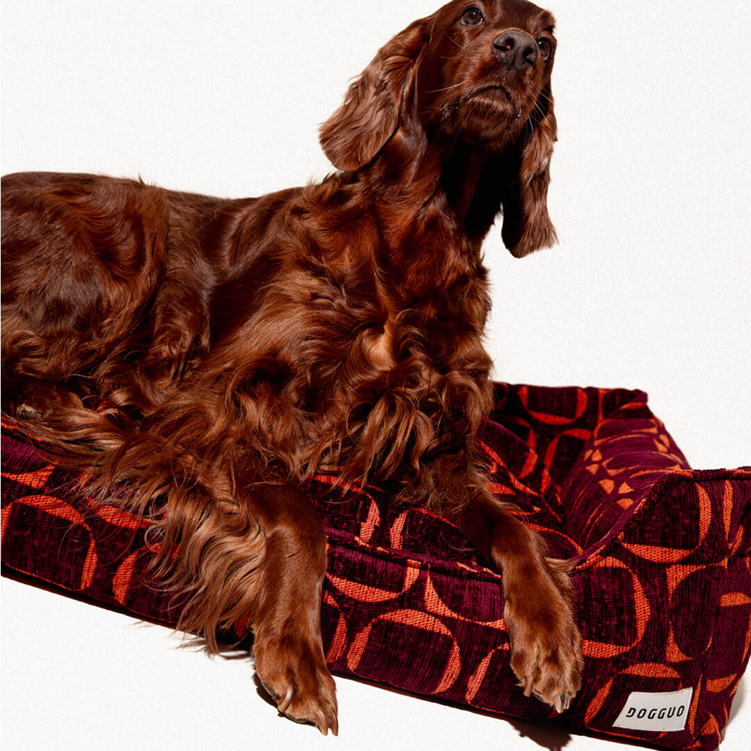 DOGGUO - Retro sofa hondenmand - Bordeaux/Oranje