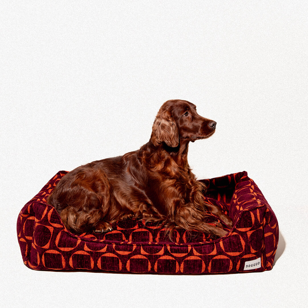 DOGGUO - Retro sofa hondenmand - Bordeaux/Oranje
