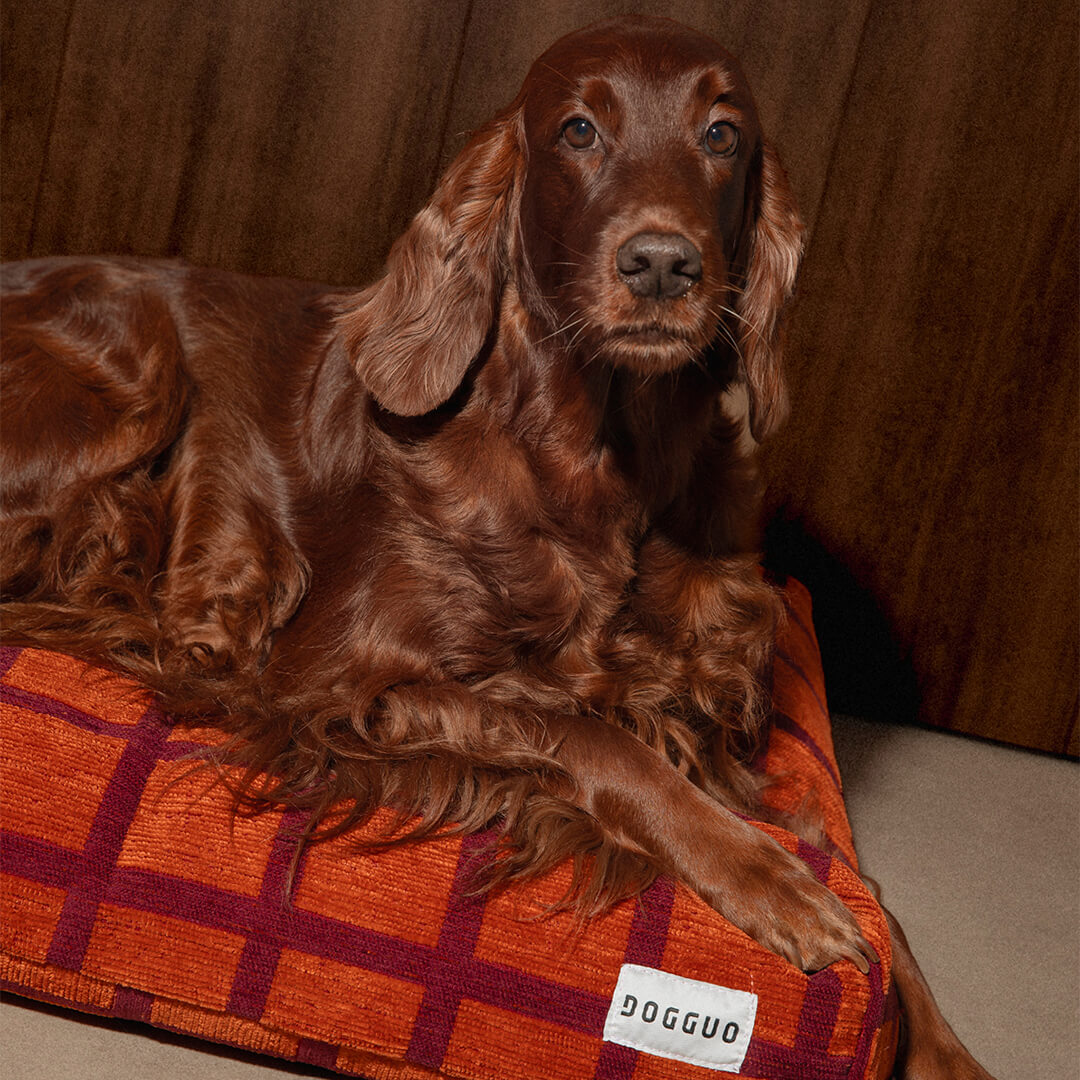 DOGGUO - Check hondenmand - Oranje/Bordeaux