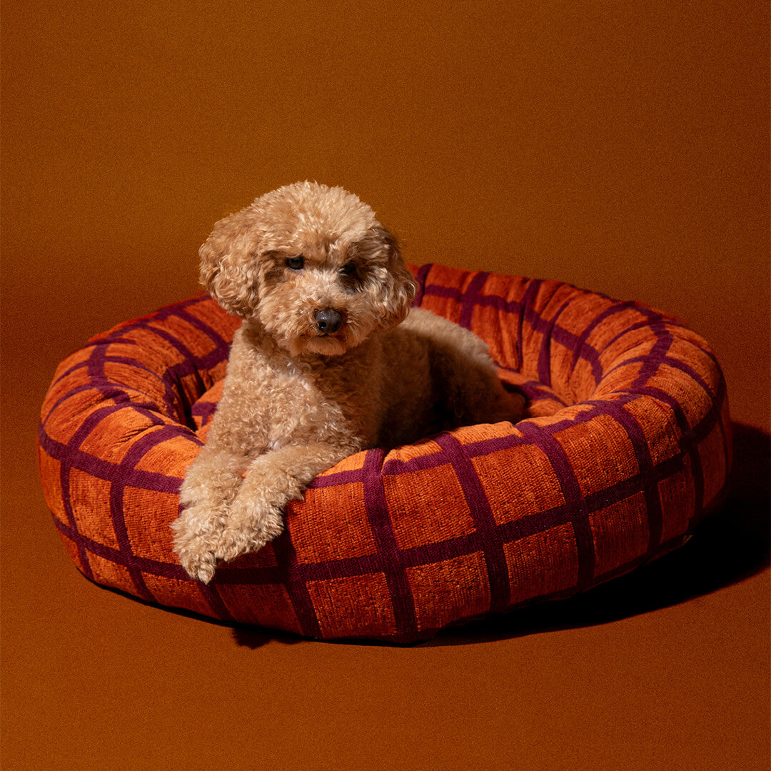 DOGGUO - Check ronde hondenmand - Oranje/Bordeaux