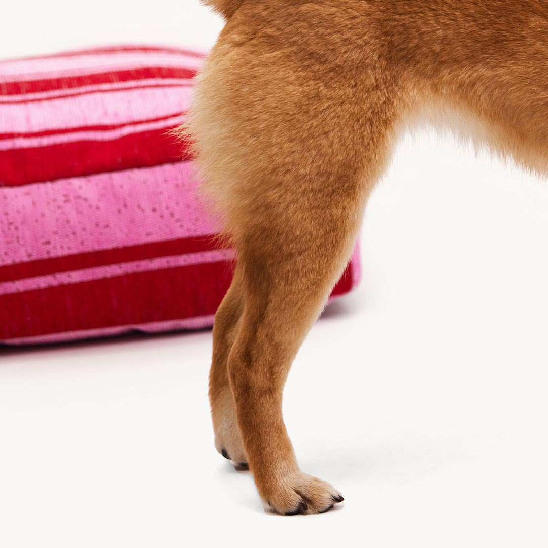 DOGGUO - Stripe Dog Bed - Red / Pink