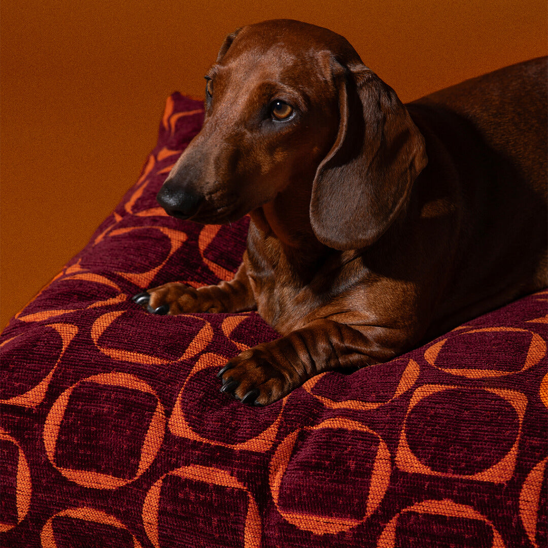 DOGGUO - Retro hondenmand - Bordeaux/Oranje