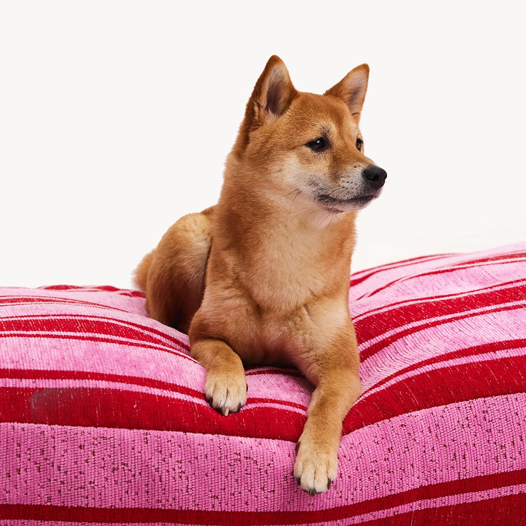 DOGGUO - Stripe Dog Bed - Red / Pink